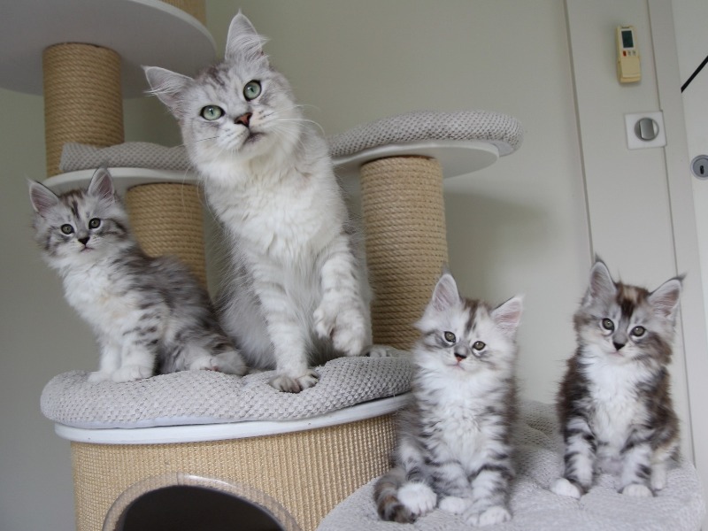 kono2024-11 (107 kb) click to view